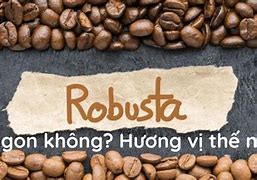 Cà Phê Robusta Có Vị Gì