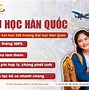 Chỉ Tiêu Lao Động Hàn Quốc Năm 2023