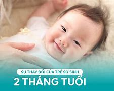 Cùng Tìm Hiểu Về Những Thay Đổi Ở Meta 6 1 Nht Vlogs