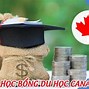 Du Học Có Gì Vui Tại Canada Mới Nhất 2024