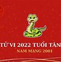 Tuổi Tân Tỵ 2001 Hợp Màu Gì